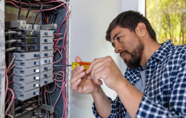 Best Electric Panel Repair  in Green Valley, AZ